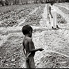 Watering Vegetables - Comoro, Timor-Leste 2003