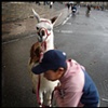 BOGOTA: A Glimpse of Street Life 