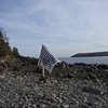 Polari flags: eek