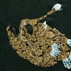 Himantolophus paucifilosus