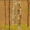 Series Fruit of the Forest 