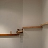 Trajectory