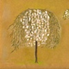 Series Fruit of the Forest 
