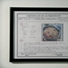 Certificates of Authenticity (detail)