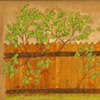 Series Fruit of the Forest 