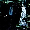 Inheritance I