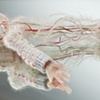 Woven Sculptures