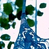 Inheritance I