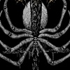 Dragged into Sunlight "impaled arachnid"