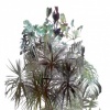 Palms III (Tristes Tropiques)