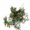 Foliage IX (for David)