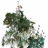 Foliage XII