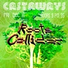 roots collider castaways show