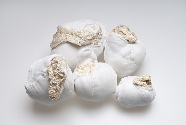 Five dead eggs