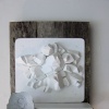 Mineral (Shelf Series)