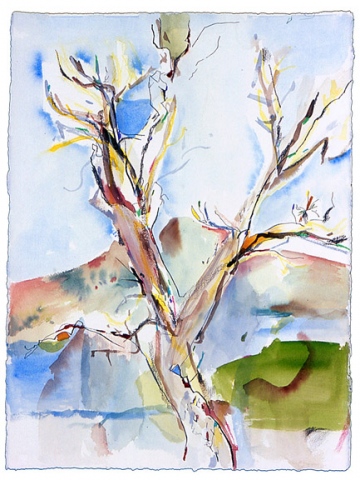 Mtn. of Tree