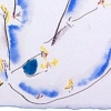 Sky Egg