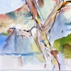 Mtn. of Tree