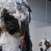 Mills College Museum installation view