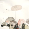 Satellites