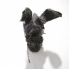 tar pup #3 (hare)