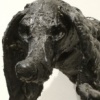 tar pups