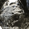 tar pup #1 (feline) detail