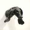 tar pup #2 (hound)