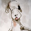 Drawings 2011