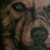 pup 2