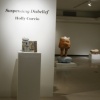 Suspending Disbelief: Installation View  