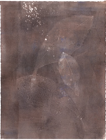 Leaves of Brown