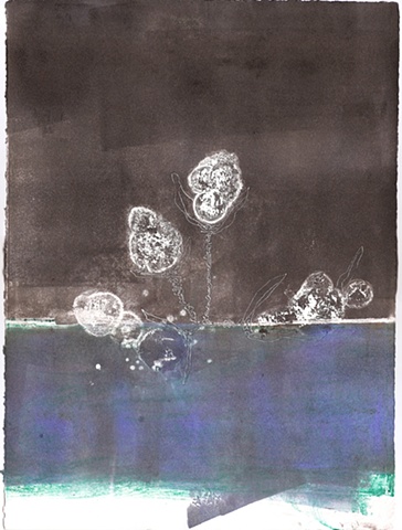Flowers on Blue