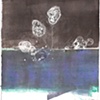 Flowers on Blue
