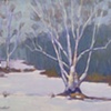 Birches in Snow