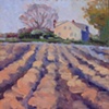 Connecticut Field