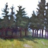 Monhegan Tree Line