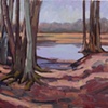 Shawsheen, Late Winter
