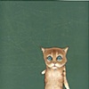 Cat/astrophe series