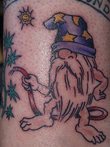 rollo wizard