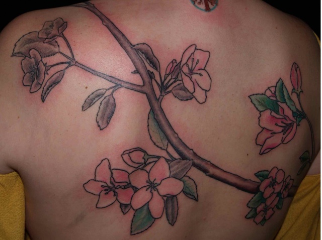 crabapple1