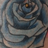 bluerose