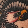 eagle