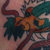 rogers dragon