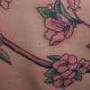 crabapple2