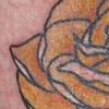 yellowrose
