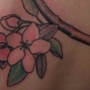 crabapple1