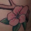 crabapple3