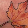 footleaf
