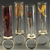 Herbarium Specimen Rings